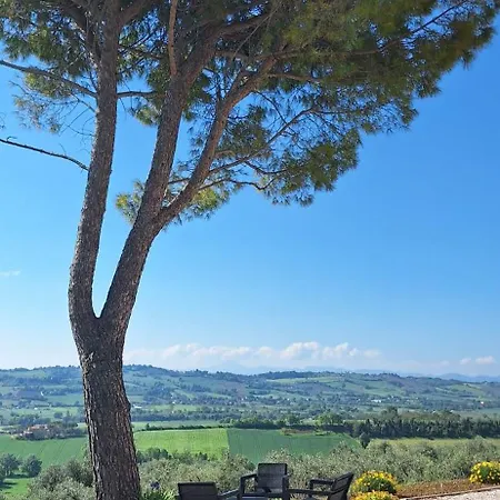 Casa Talent - Salvia * Monte Porzio